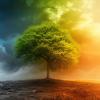 An AI generated illustration of a meteorological spring in the Northern Hemisphere