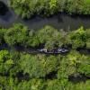 boat on a river