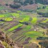 Green terraced fields in the mountain in Amhara province near city Weldiya with traditional african houses, Ethiopia agriculture concept