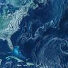 North america and the gulf stream are visible in a detailed satellite image of earth