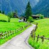 Country road and green alpine meadows in the background of the high peaks of the Alps, Zillertal, Austria