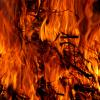 Burning tree