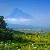 Nature view with a volcano in the Virunga National Park in the Democratic Republic of Congo, Africa