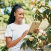 Smiling African female farmer with tablet in front of a fruit tree