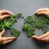 Four hands carefully placing eco-friendly puzzle pieces together, symbolizing sustainability and collaboration.