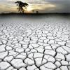 Drought