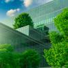 Office building surrounded by trees