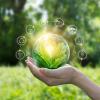 Hands protecting globe of green tree on tropical nature summer background, Ecology and Environment concept 