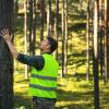 Forest engineering and management, renewable resources - forester checking quality of pine tree 