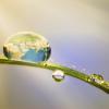 Conservation concept:earth in a water droplet on a grass leaf 