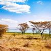 Kenya National Research Festival 