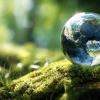 Earth Encased in a Crystal Globe on Vibrant Greenery AI generated image. 