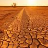 A road running through a dry landscape with cracked soil