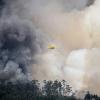 Yellow Plane Flying Over a Forest Fire