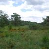 Kellerwald picture