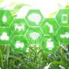 Sustainable and smart farming