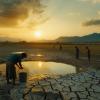 People collecting water from wells in dry fields as the sun sets, illustrating severe drought conditions