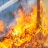 Firefighters spray water to wildfire in forest. 