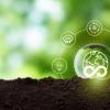 Circular economy and sustainability strategies concept. The sustainable solutions for reducing waste. The sustainable solutions for reducing waste and maximizing the use of resources, reduce, reuse, recycle, use of natural resources. 