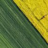 Aerial view of harvest fields with tractor in Poland 