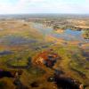 okavango river basin
