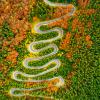 Aerial view of winding road through autumn colored forest