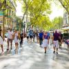 People walking in a city street lined with large trees