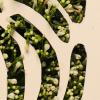 IIASA AR 25 cover