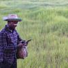 African farmer using digital tablet in rice field