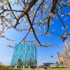 The Sir Duncan Rice Library of University of Aberdeen.