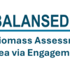 BALANSED Logo