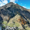 Protective forests in the Alps