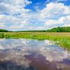 Wetlands