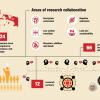 Indonesian collaboration infographic