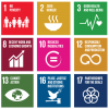 UN SDGs