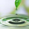 droplet 