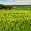 Amazing agriculture landscape in Macin mountains