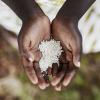 hands holding rice
