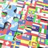 puzzle countries 