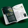 Picture of open Options magazine